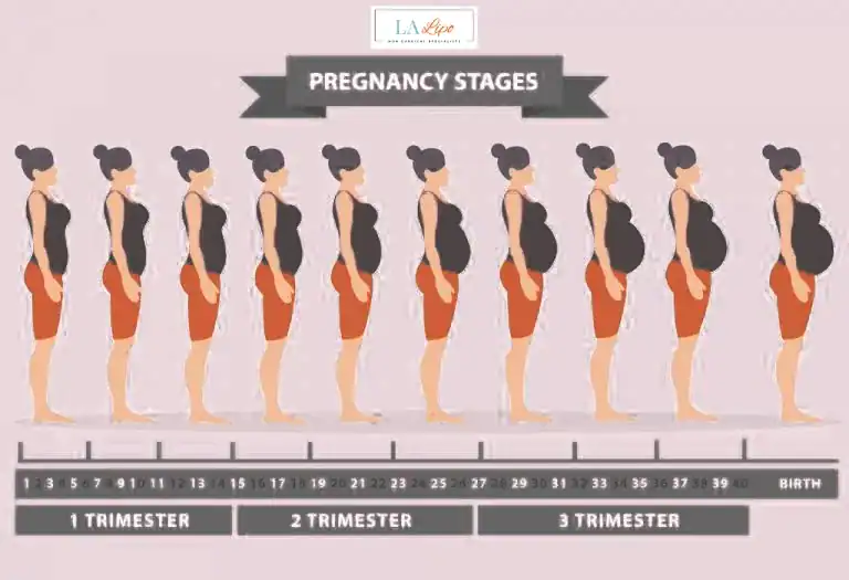 First Trimester (Weeks 1–12): Early Changes You Might Not Notice Ross-on-Wye